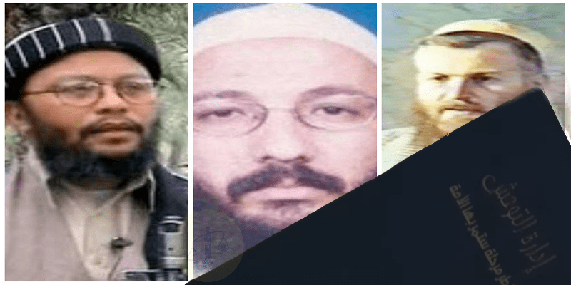 إدارة التوحش