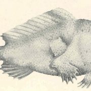 العشرة الأواخر من رمضان زمان