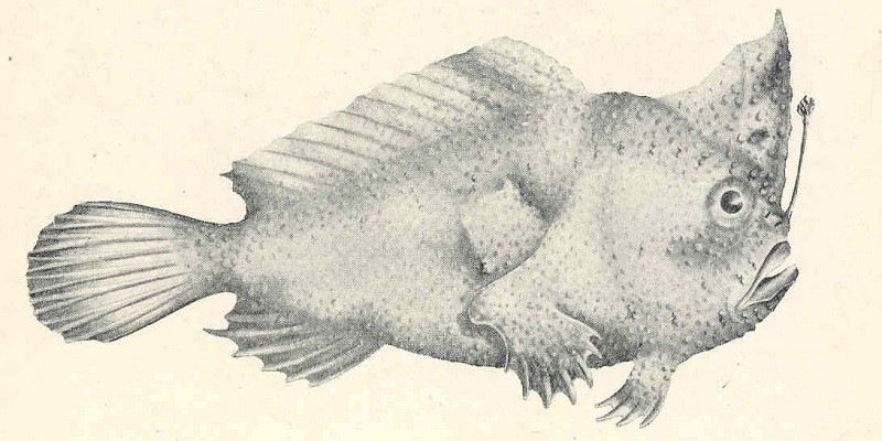 العشرة الأواخر من رمضان زمان