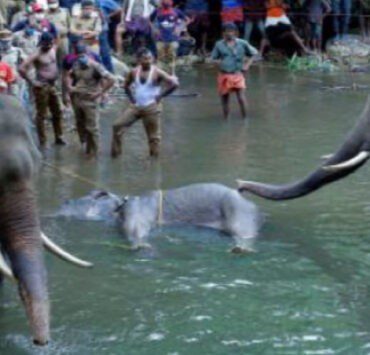 من “عشمان حنا” إلى “أنت معدي على كنيسة”.. التطور الطائفي في الأمثال الشعبية عشمان حنا