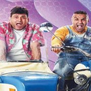 طيور السمان