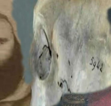 قاتل المصري صاحب الجمجمة 5942