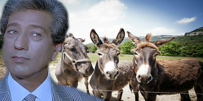 حين مثلت الحمير على المسرح “حدث في عام 67 على يد كرم مطاوع” كرم مطاوع