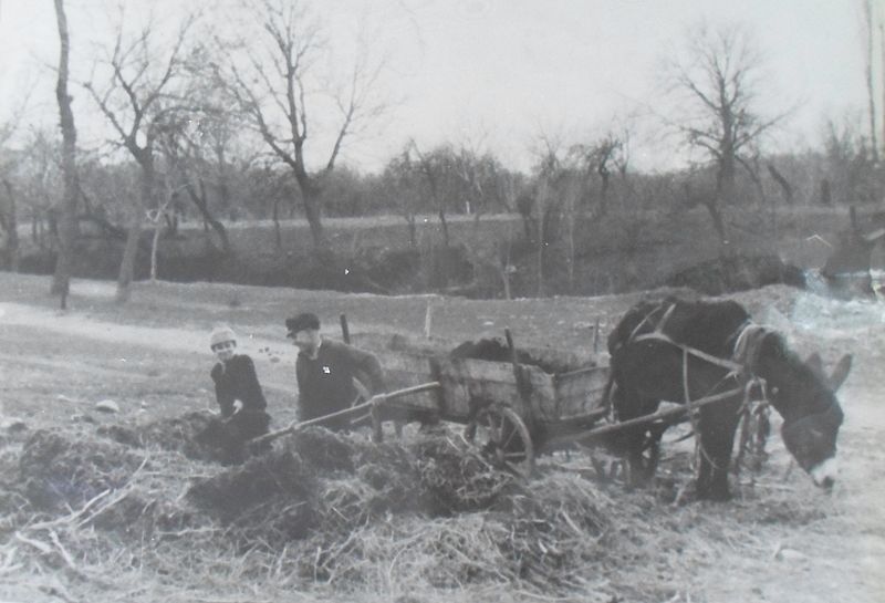 حين صدرت بنها الطين إلى ألمانيا واستوردت بلغاريا الحنة من الشرقية الزراعة في بلغاريا