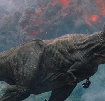 حين صدرت بنها الطين إلى ألمانيا واستوردت بلغاريا الحنة من الشرقية الديناصور