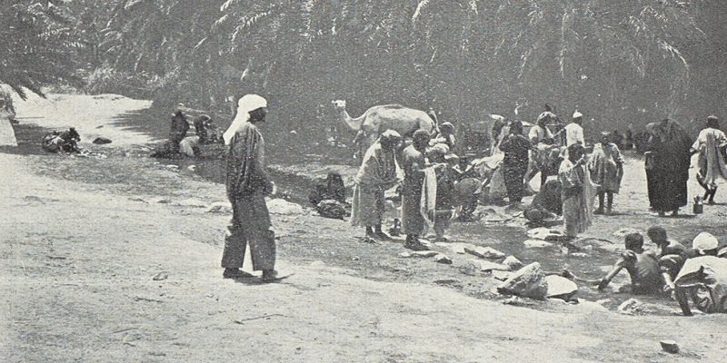 العربان في تاريخ مصر