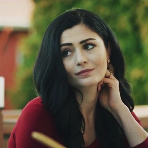 مصر في المسلسلات التركية .. أم الماسونية العالمية ودولة الخيانة دينيز شاكر