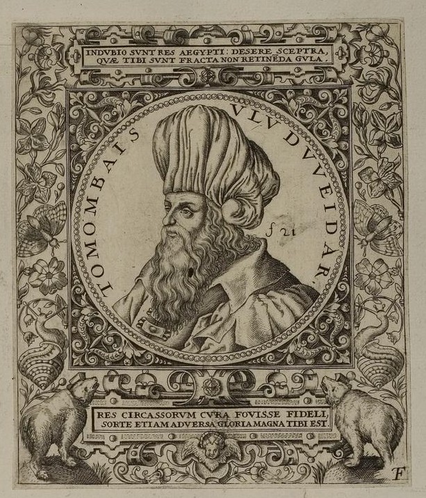 يوكرونيا نهاية المماليك .. طومان باي في مرج دابق والغوري ينتظر رسمة لـ طومان باي