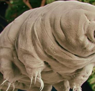 الرسول يأمر مطلقة بقضاء عدتها لدى رجل غريب .. ديننا الذين أخفوه عنا بطيء الخطو