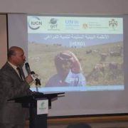 "قبائل السنينات" العمدة و الابن الصالح ......................................