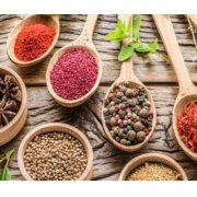 حكاية طبيب شهير يحترف النصب بالأعشاب