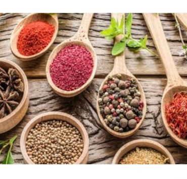 بعد كل هذه المعارك شاهدنا فيلم “أيام السادات” حكاية طبيب شهير يحترف النصب بالأعشاب