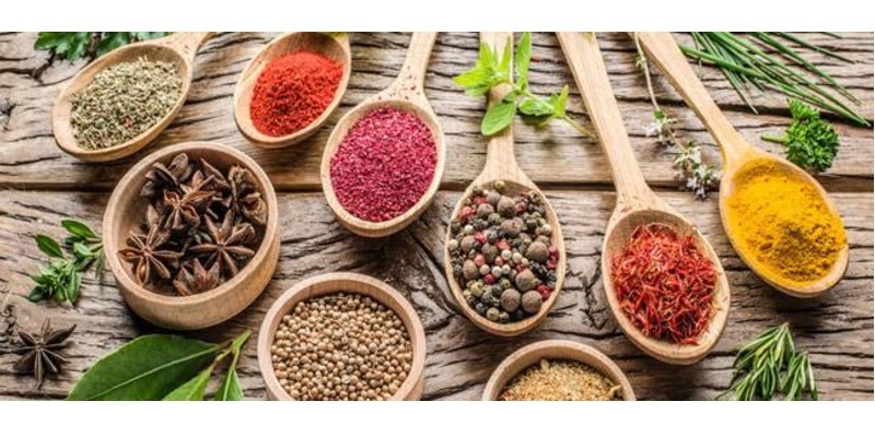 حكاية طبيب شهير يحترف النصب بالأعشاب