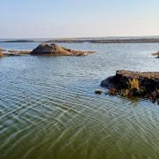 في المنزلة ............................ حين غادر السمك مزارعه إلى البحر