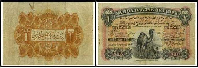 جنية الجملين : لجلب الحبيب والرزق والنصيب جنية