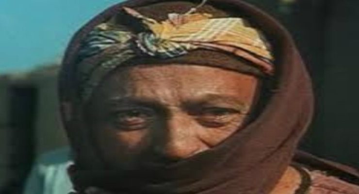 محمود المليجي