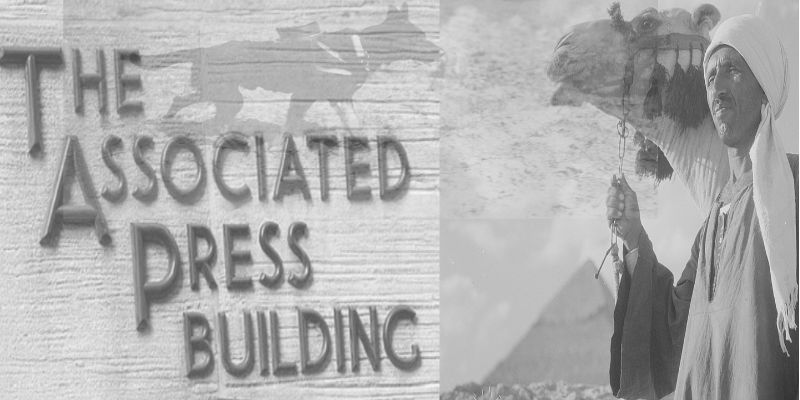 الحيوانات في الحرب العالمية الأولى