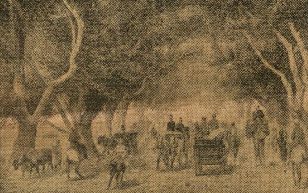 مذكرات محمد علي باشا المجهولة ج2: شعبي كسلان ولا يحب العمل تشجير شبرا زمن عصر محمد علي