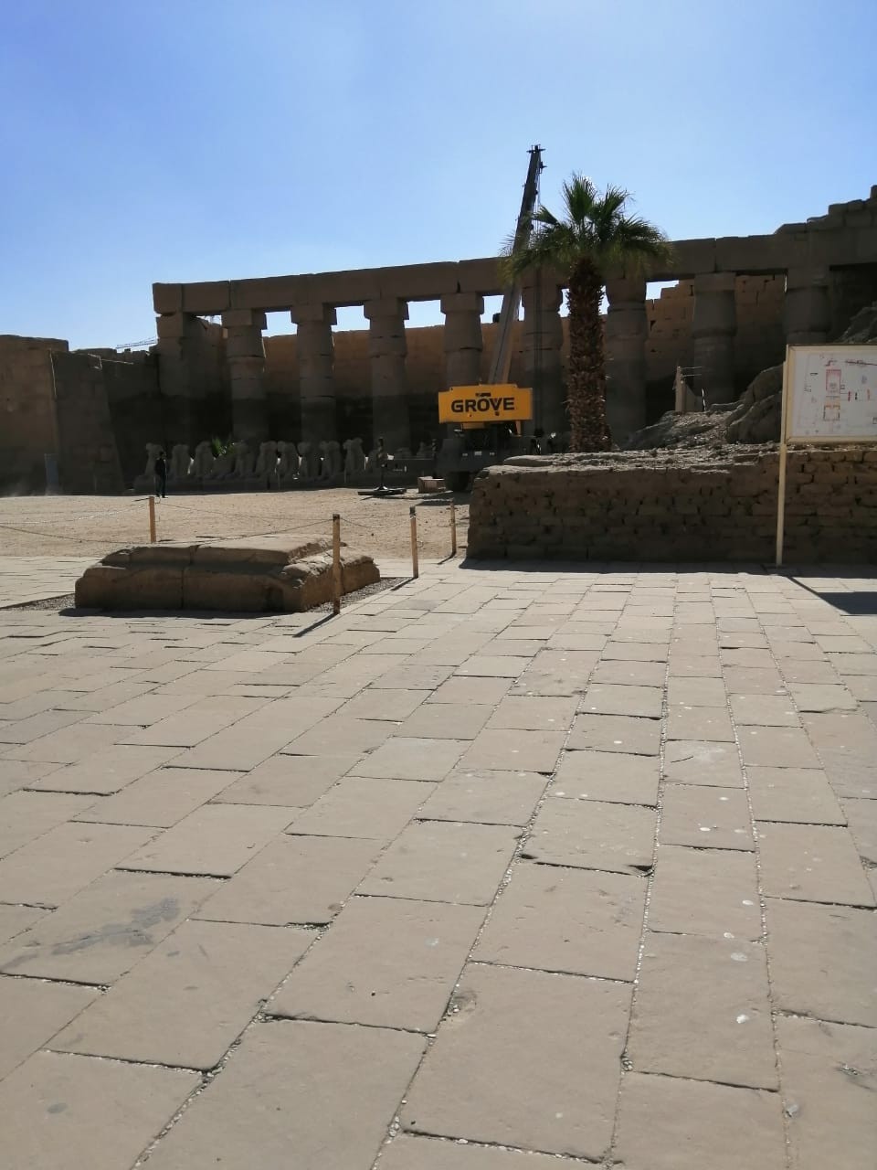 بين واقع نقل الكباش وزمن إنقاذ أبو سمبل “المقارنة لا تجوز” صورة لنقل الكباش