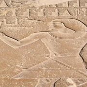 مصطفى محرجمي ومحمد مظهر