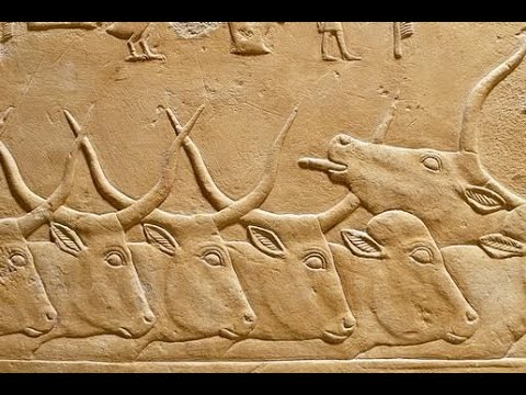 ليلة في منزل كاجمني الحكيم ورسائله لجيل الفيسبوك كاجمني الحكيم