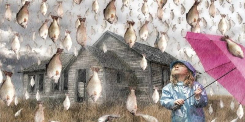 وقائع تاريخية..لماذا تمطر السماء سمك وثعابين وضفادع؟ وقائع تاريخية.......................لماذا تمطر السماء سمك وثعابين وضفادع؟