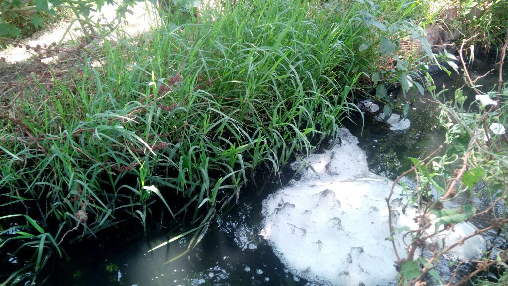 35 مليون مرض.. حكاية مصرف ينهش صحة المصريين باسم “بحر البقر” بحر البقر