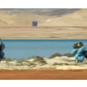 الجيش المصري