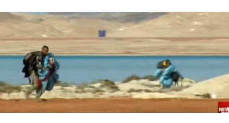 الجيش المصري