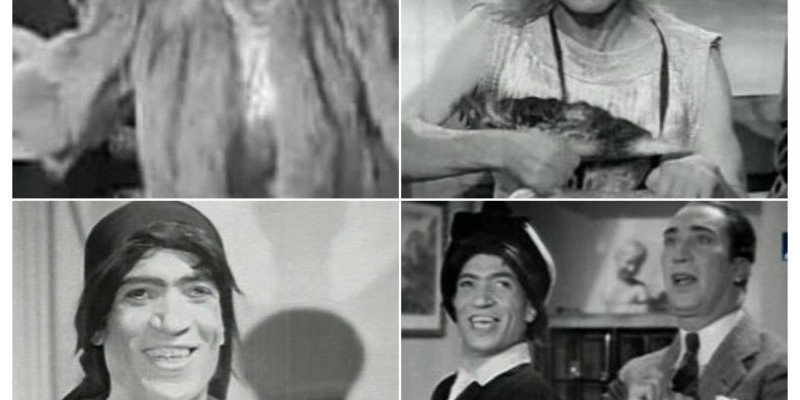 جمالات كفتة