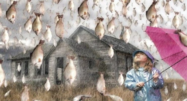 وقائع تاريخية.......................لماذا تمطر السماء سمك وثعابين وضفادع؟