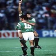 مجدي عبد الغني