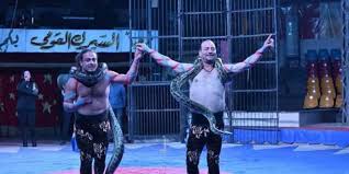 شاهدوا عروض الحواة..اقتناء سلاطين المماليك للحيوانات والطيور سلاطين المماليك