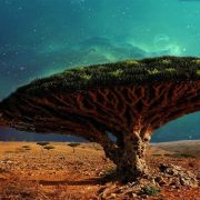 شجرة دم الأخوين