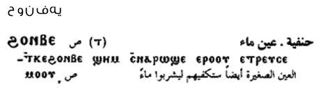 الشاعر جمال بخيت وتاريخ الأزهر “أخطاء لم تُعَلِّمه من أين تؤكل الكتف” كلمة حنفية في القاموس القبطي