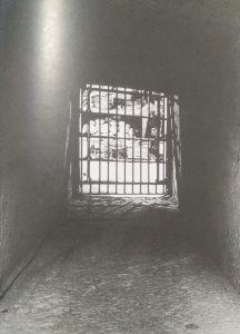 هل قتلت لعنة توت عنخ آمون هوارد كارتر ؟! توت عنخ آمون