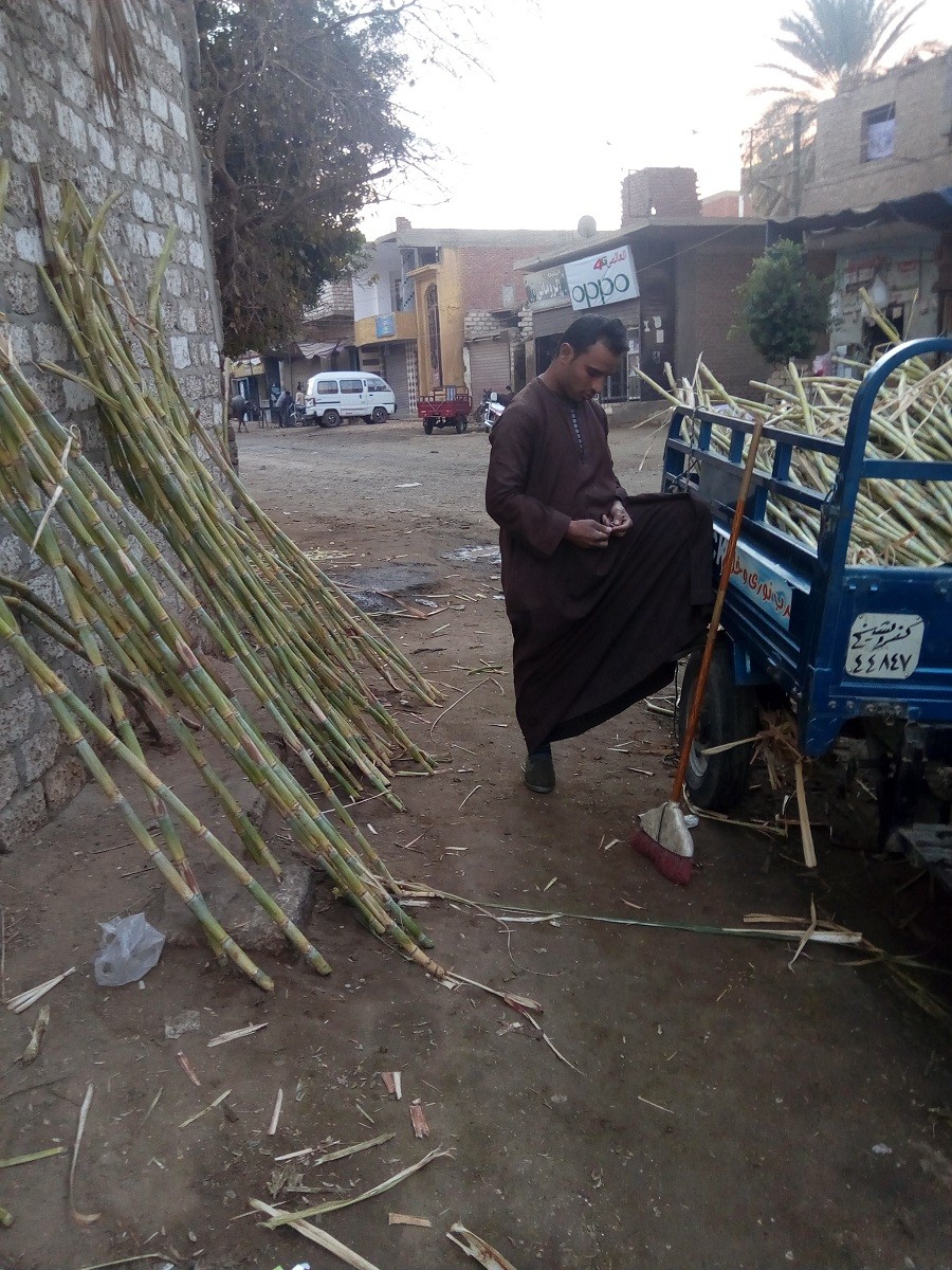 حكاية القصب المنياوي .. “من أيام الإرهاب إلى سد النهضة” القصب المنياوي
