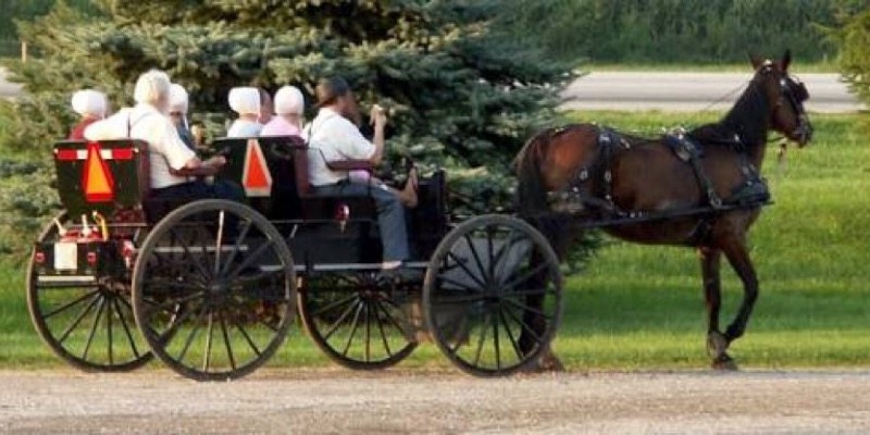 الأميش .. أمريكيون يعيشون بيننا ولكن في العصور الوسطى الأميش