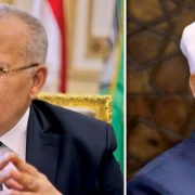 محمود عبد العزيز