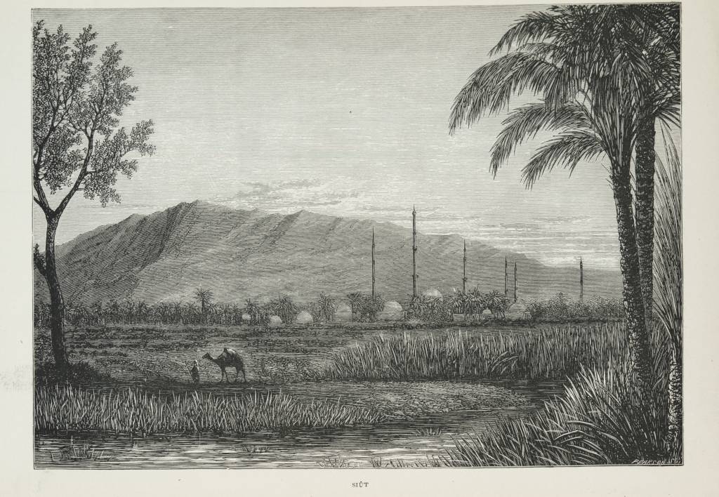 “تاريخ الكوليرا في مصر” إحصاء المواقع غير صحيح وهذه حكاية كل وباء أسيوط سنة 1890