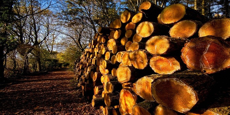 تاريخ صناعة الورق