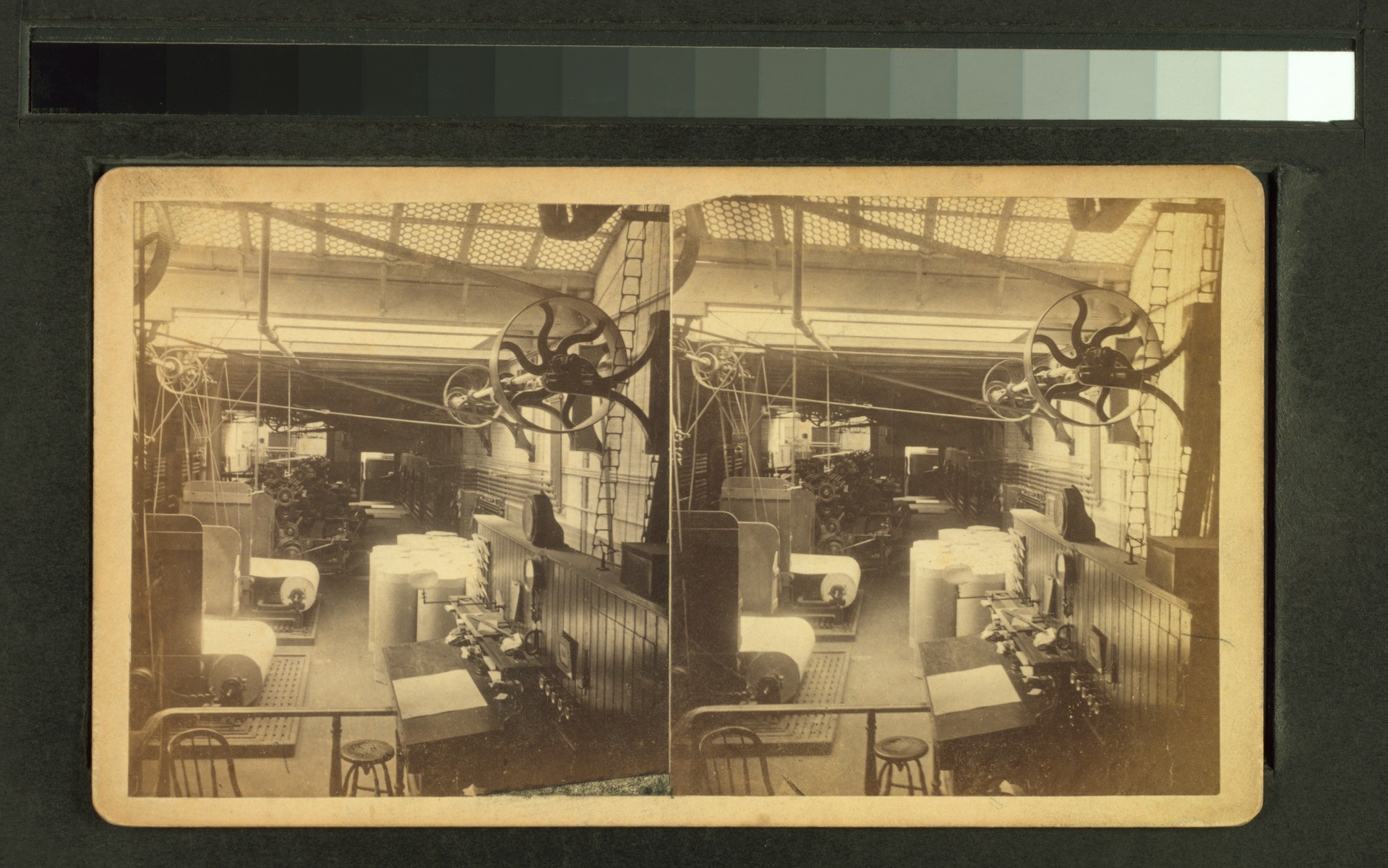 أشجار تهبنا قلبها “تاريخ صناعة الورق” تاريخ صناعة الورق