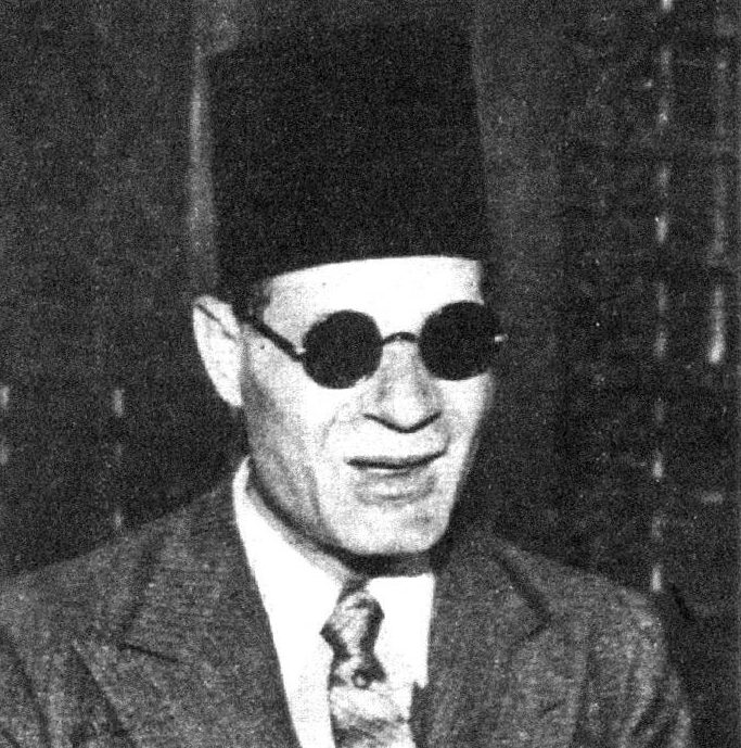 رأي أولاد الأدباء في آباءهم “بنت طه حسين تنتقده ونجلة المنفلوطي ترفض المجاملة” طه حسين