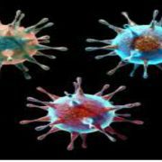 الفيروس ............................................... ماذا لو كنت فيروس؟!