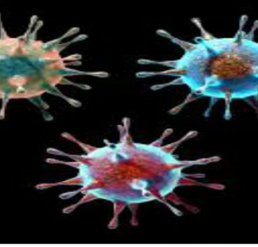 تصل الغيرة إلى قطع العضو الذكري أحيانًا! الفيروس ............................................... ماذا لو كنت فيروس؟!