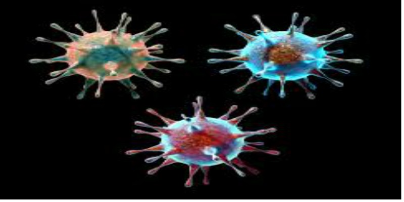 ماذا لو كنت فيروس؟! الفيروس ............................................... ماذا لو كنت فيروس؟!