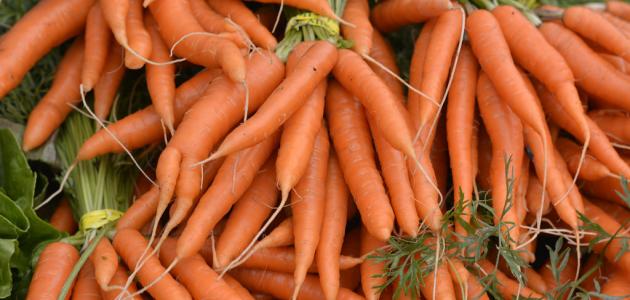 مامي جديدة (3) لو هترضعي طبيعي لازم تعرفي أهم الأطعمة التي تزيد من إدرار اللبن الجزر