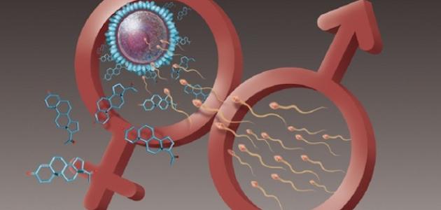 هرموناتي ليست مادة للسخرية هرموناتي