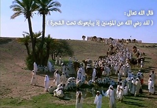 “الثوابت الوهمية” حد الردة (2) .. حروب الردة .. أم التأسيس بيعة الشجرة