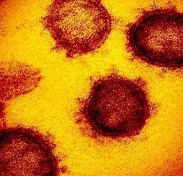 فيروس كورونا